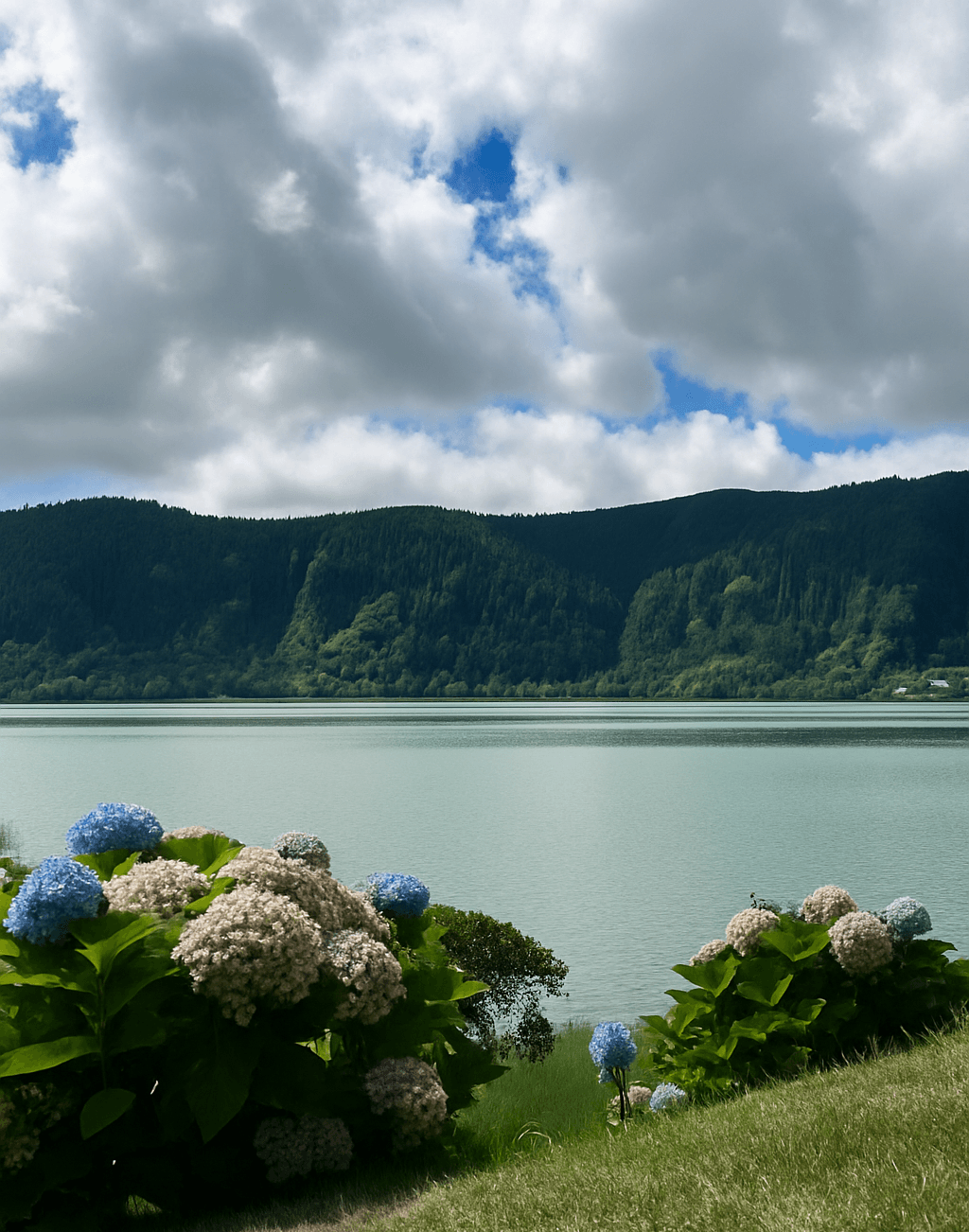 Azores Summer Editions